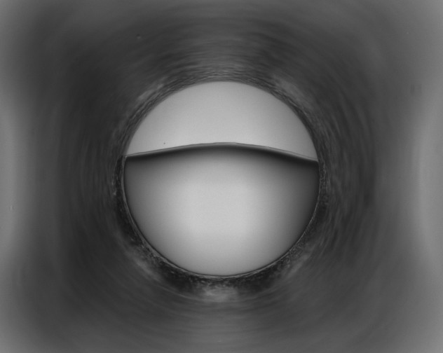 X0000086900258200704160953