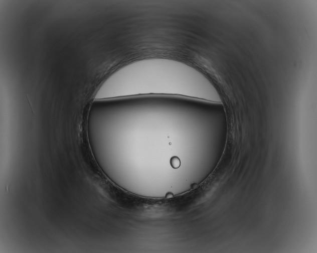 X0000086900259200704160953