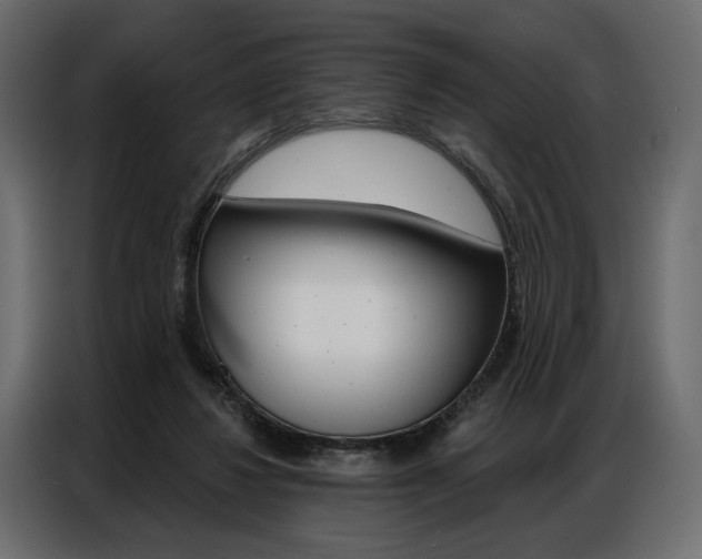 X0000086900260200704160953