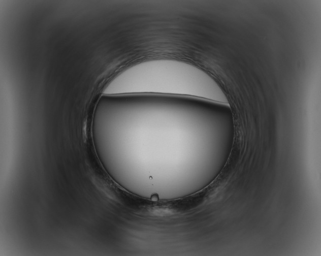X0000086900262200704160953