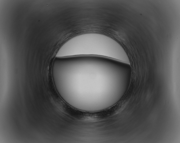 X0000086900263200704160953
