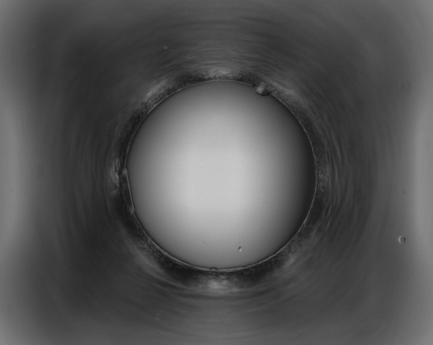 X0000086900264200704160953