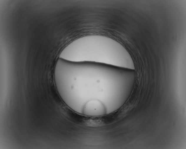 X0000086900270200704160953