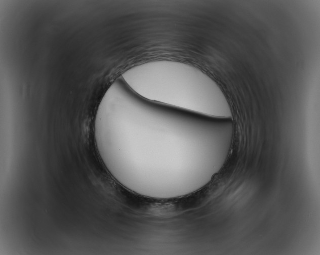 X0000086900271200704160953