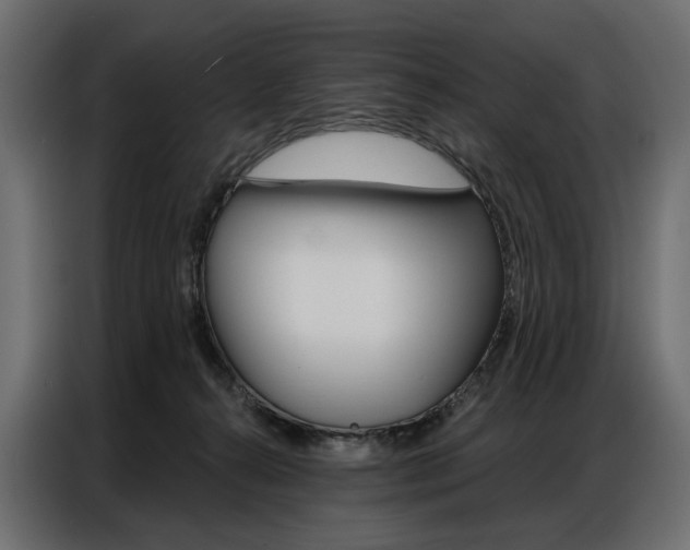 X0000086900272200704160953