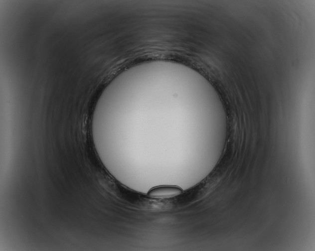 X0000086900275200704160953
