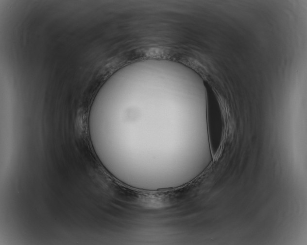 X0000086900276200704160953