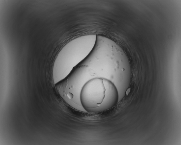 X0000086900278200704160953