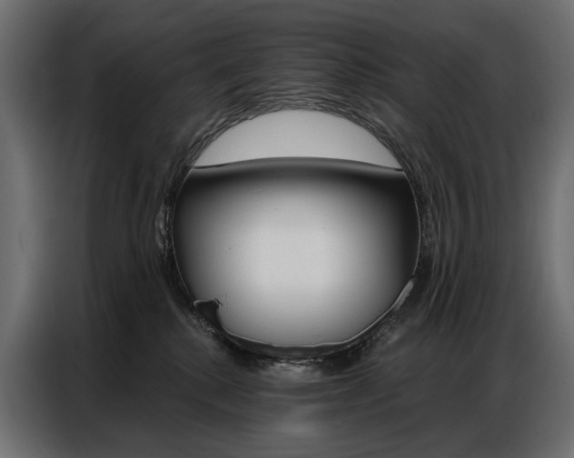X0000086900280200704160953