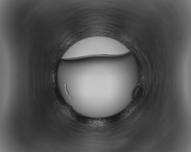 X0000086900282200704160953
