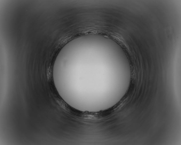 X0000086900285200704160953