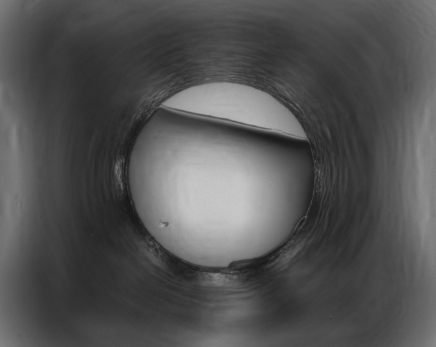 X0000086900286200704160953