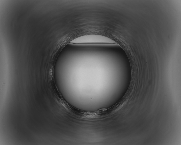 X0000086900288200704160954