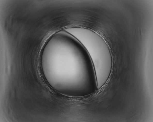 X0000086900289200704160953