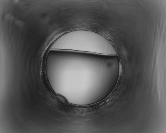 X0000086900291200704160953