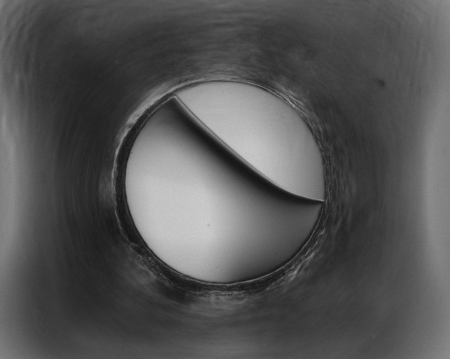 X0000086900292200704160953