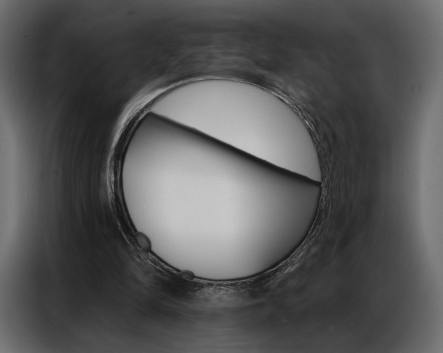 X0000086900294200704160953