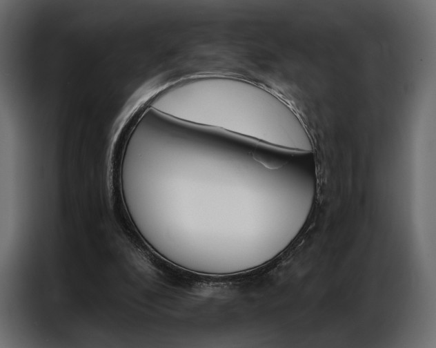 X0000086900296200704160953