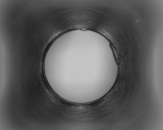X0000086900297200704160953
