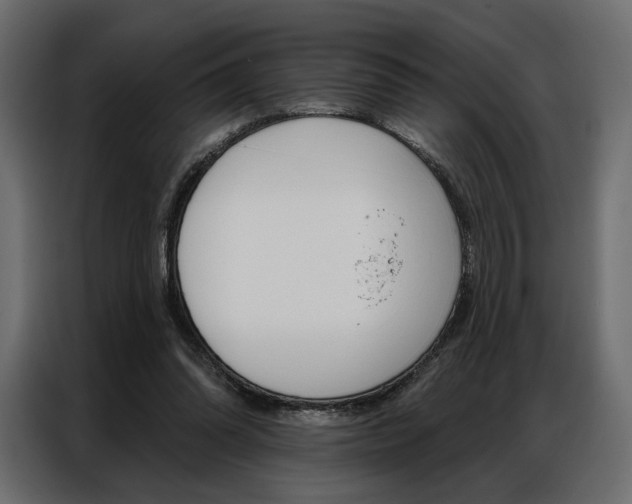 X0000086900302200704160953