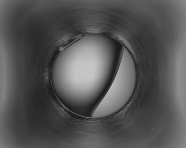 X0000086900305200704160953