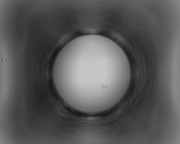 X0000086900312200704160953