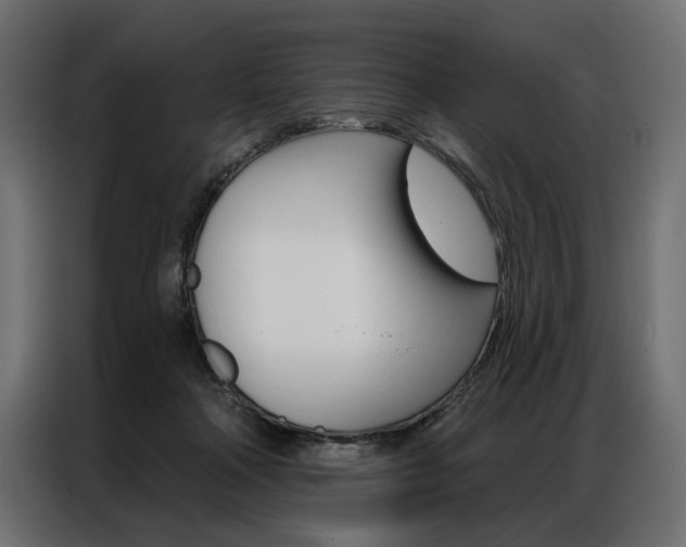 X0000086900314200704160952