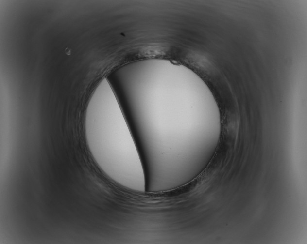 X0000086900315200704160952