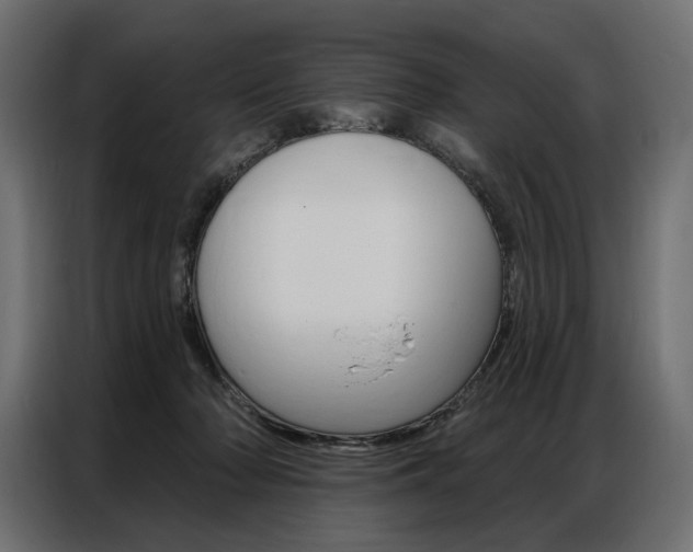 X0000086900318200704160952