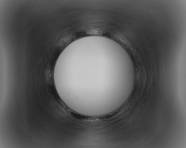 X0000086900322200704160952
