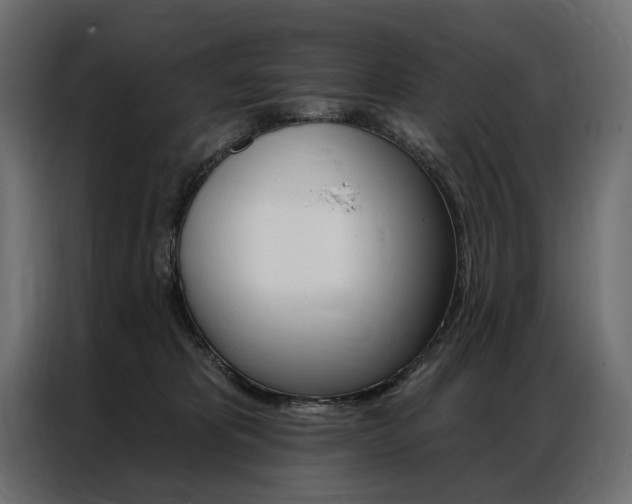 X0000086900325200704160952