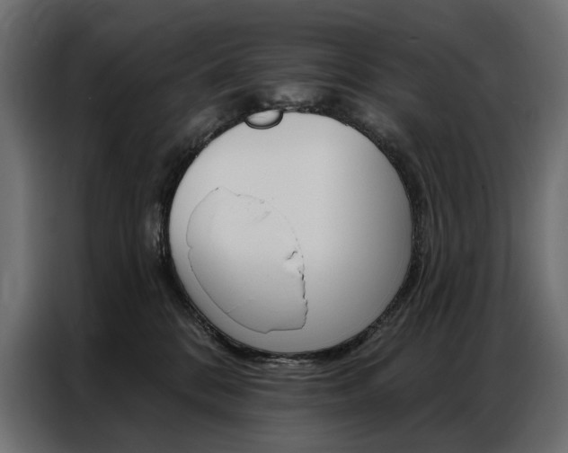 X0000086900328200704160952