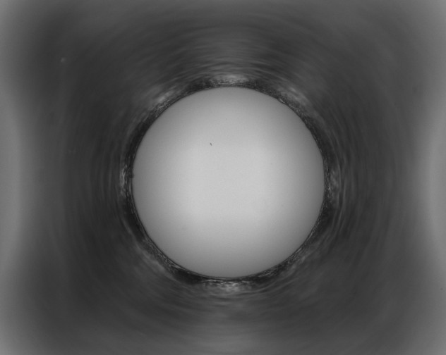 X0000086900330200704160952