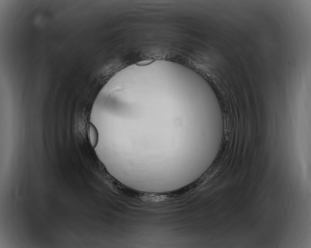 X0000086900334200704160952