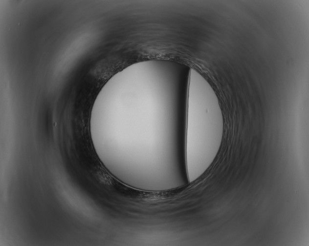 X0000086900335200704160952