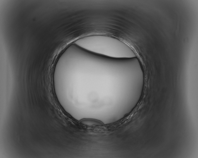 X0000086900337200704160951