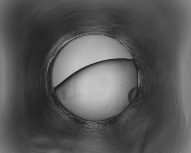 X0000086900339200704160952