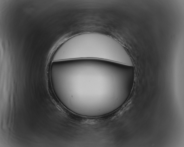 X0000086900341200704160952