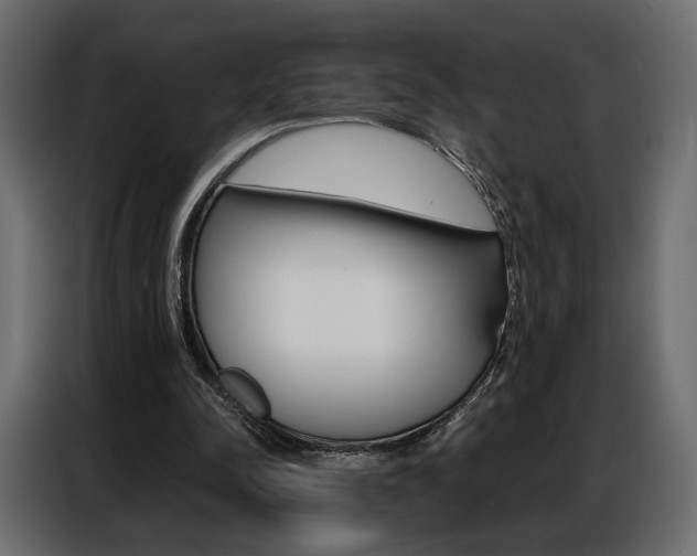 X0000086900342200704160952