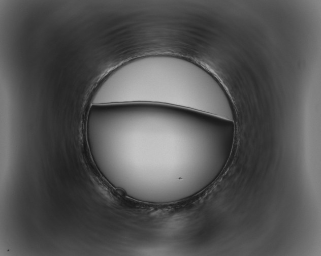 X0000086900345200704160952