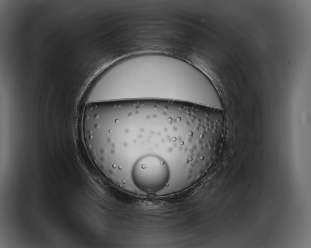 X0000086900346200704160952