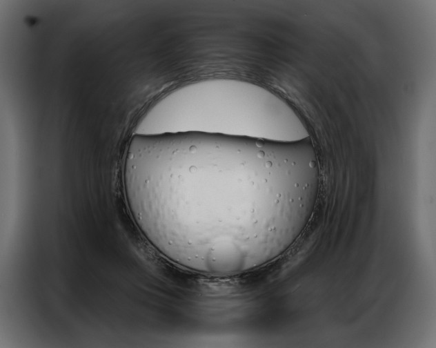 X0000086900359200704160952