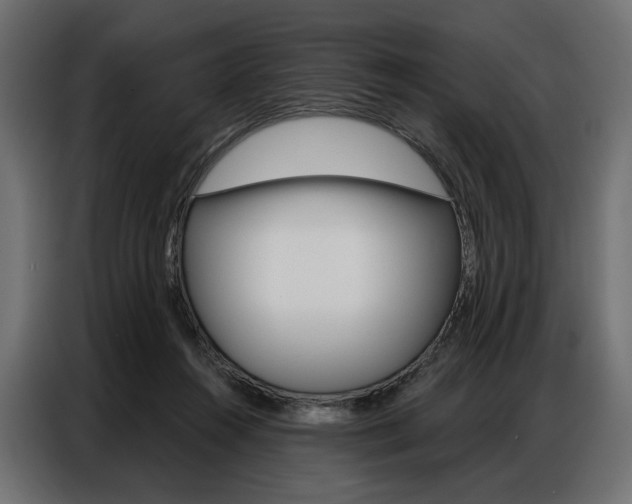 X0000086900360200704160952