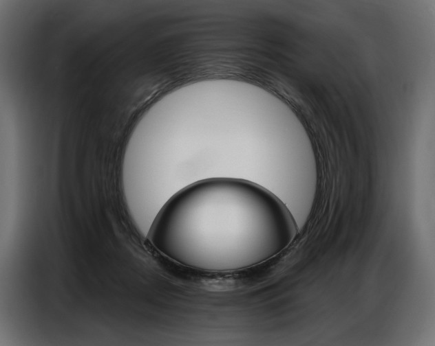 X0000086900362200704160952