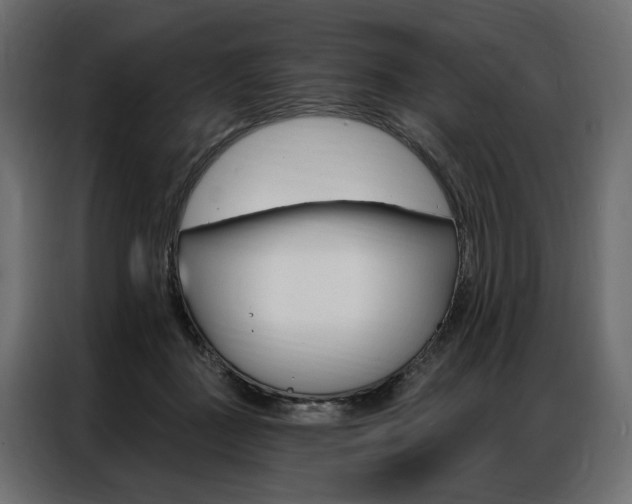 X0000086900363200704160952