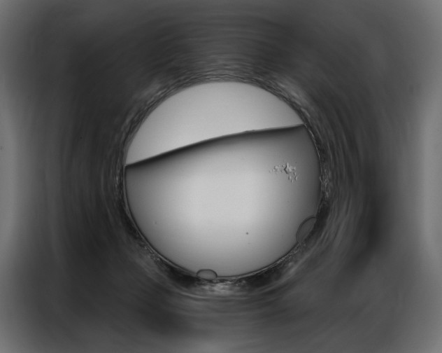 X0000086900365200704160952