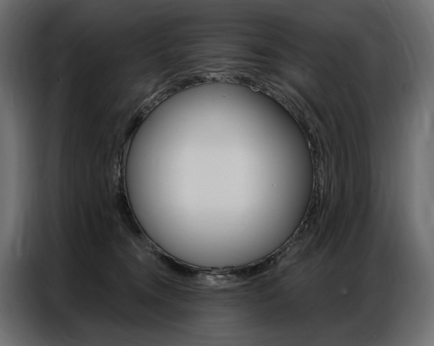 X0000086900372200704160952