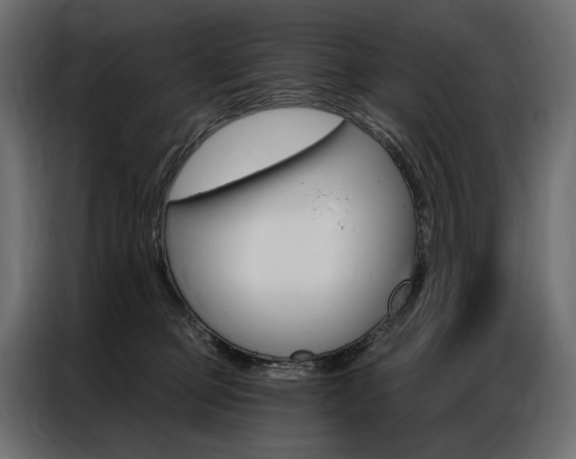 X0000086900373200704160952
