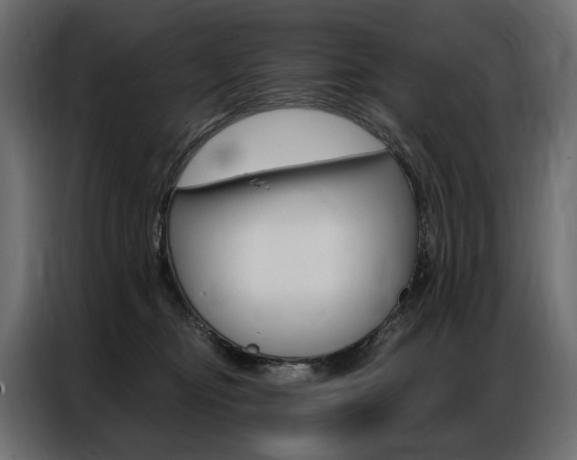 X0000086900374200704160952