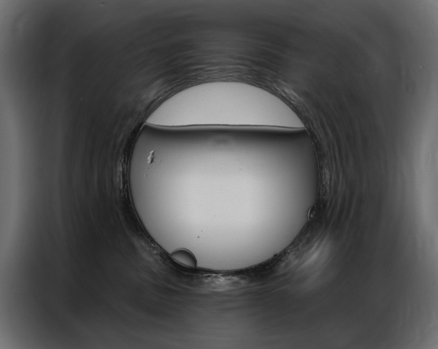 X0000086900379200704160952